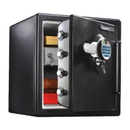 SentrySafe Fire & Waterproof Safes